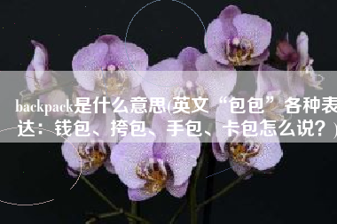 backpack是什么意思(英文“包包”各种表达：钱包、挎包、手包、卡包怎么说？)