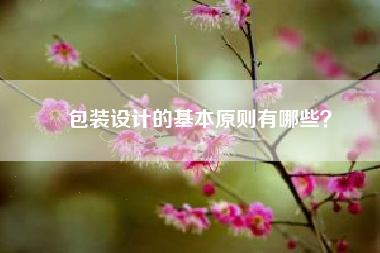 包装设计的基本原则有哪些？