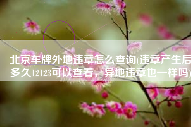 北京车牌外地违章怎么查询(违章产生后多久12123可以查看，异地违章也一样吗)
