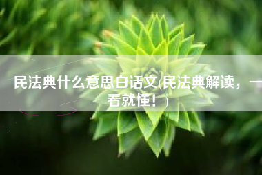 民法典什么意思白话文(民法典解读，一看就懂！)