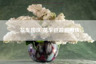 花车国庆(花车巡游迎国庆)
