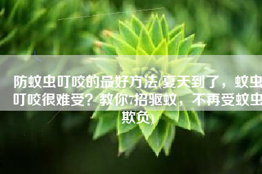 防蚊虫叮咬的最好方法(夏天到了，蚊虫叮咬很难受？教你7招驱蚊，不再受蚊虫欺负)