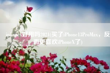 iphonex好用吗2021(买了iPhone13ProMax，反而更喜欢iPhoneX了)