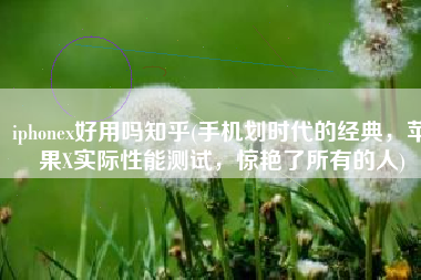 iphonex好用吗知乎(手机划时代的经典，苹果X实际性能测试，惊艳了所有的人)