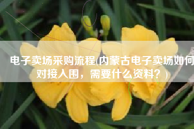 电子卖场采购流程(内蒙古电子卖场如何对接入围，需要什么资料？)