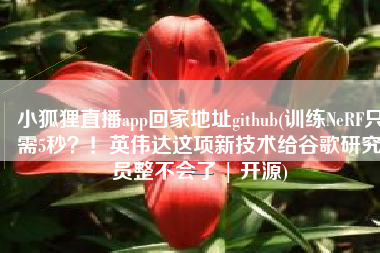 小狐狸直播app回家地址github(训练NeRF只需5秒？！英伟达这项新技术给谷歌研究员整不会了 | 开源)