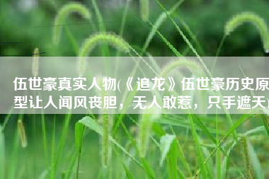 伍世豪真实人物(《追龙》伍世豪历史原型让人闻风丧胆，无人敢惹，只手遮天)