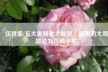 伍世豪(五大黑帮老大原型，最狠的大哥却沦为乌鸦小弟)