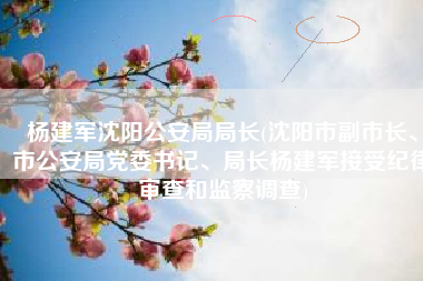 杨建军沈阳公安局局长(沈阳市副市长、市公安局党委书记、局长杨建军接受纪律审查和监察调查)