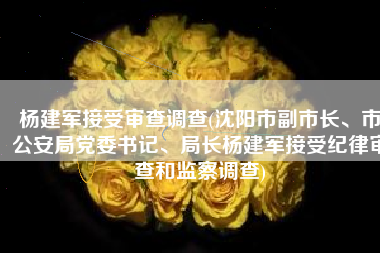 杨建军接受审查调查(沈阳市副市长、市公安局党委书记、局长杨建军接受纪律审查和监察调查)