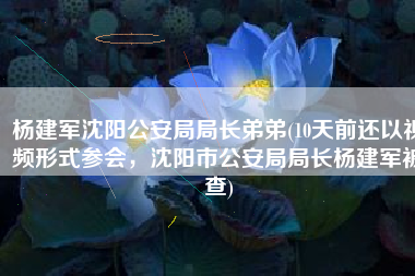 杨建军沈阳公安局局长弟弟(10天前还以视频形式参会，沈阳市公安局局长杨建军被查)