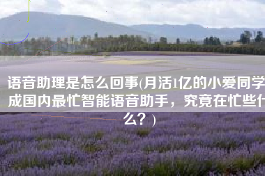 语音助理是怎么回事(月活1亿的小爱同学，成国内最忙智能语音助手，究竟在忙些什么？)
