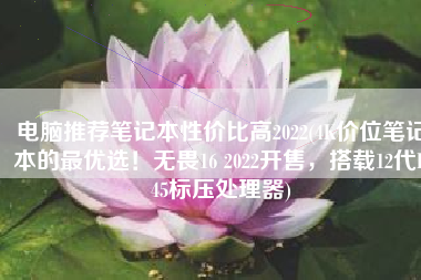 电脑推荐笔记本性价比高2022(4K价位笔记本的最优选！无畏16 2022开售，搭载12代H45标压处理器)