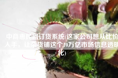 中商惠民网订货系统(这家公司想从比价入手，让杂货铺这个10万亿市场信息透明化)