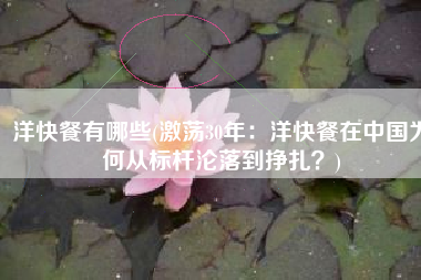 洋快餐有哪些(激荡30年：洋快餐在中国为何从标杆沦落到挣扎？)