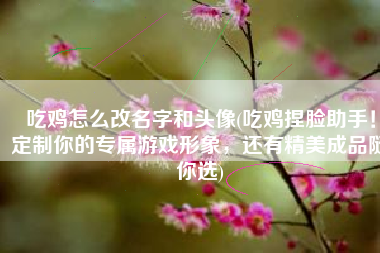 吃鸡怎么改名字和头像(吃鸡捏脸助手！定制你的专属游戏形象，还有精美成品随你选)