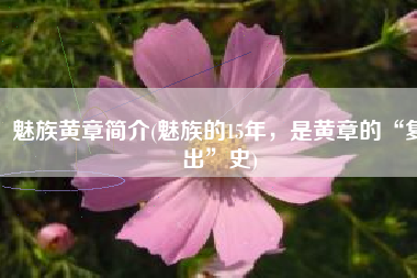 魅族黄章简介(魅族的15年，是黄章的“复出”史)