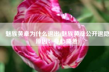 魅族黄章为什么退出(魅族黄章公开退隐原因：身心疲惫)
