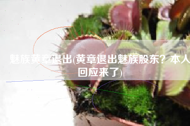 魅族黄章退出(黄章退出魅族股东？本人回应来了)