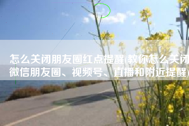 怎么关闭朋友圈红点提醒(教你怎么关闭微信朋友圈、视频号、直播和附近提醒)