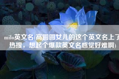 milo英文名(高圆圆女儿的这个英文名上了热搜，想起个爆款英文名感觉好难啊)