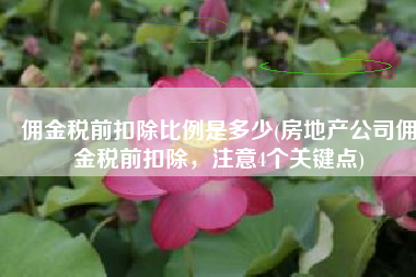 佣金税前扣除比例是多少(房地产公司佣金税前扣除，注意4个关键点)