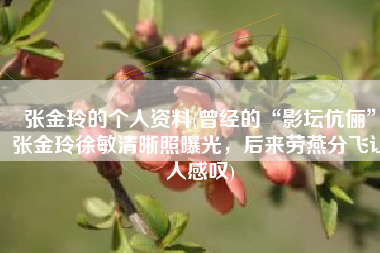 张金玲的个人资料(曾经的“影坛伉俪”张金玲徐敏清晰照曝光，后来劳燕分飞让人感叹)