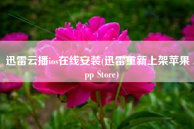 迅雷云播ios在线安装(迅雷重新上架苹果 App Store)