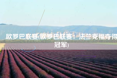 欧罗巴联赛(欧罗巴联赛：法兰克福夺得冠军)