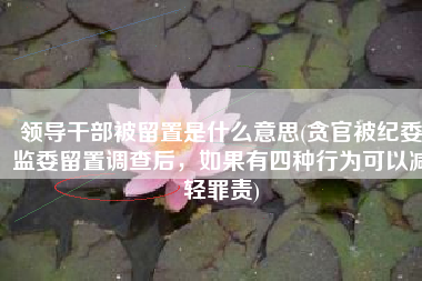 领导干部被留置是什么意思(贪官被纪委监委留置调查后，如果有四种行为可以减轻罪责)