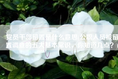 党员干部留置是什么意思(公职人员被留置调查的五大基本常识，你知道几点？)