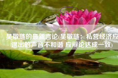 吴敬琏的最新言论(吴敬琏：私营经济应退出的声音不和谐 应辩论达成一致)