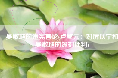 吴敬琏的违宪言论(卢麒元：对厉以宁和吴敬琏的深刻批判)