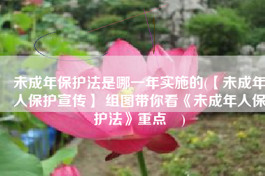 未成年保护法是哪一年实施的(【未成年人保护宣传】 组图带你看《未成年人保护法》重点​)