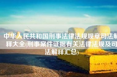 中华人民共和国刑事法律法规规章司法解释大全(刑事案件证据有关法律法规及司法解释汇总)