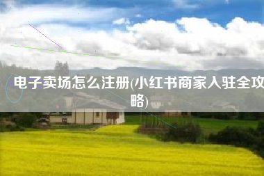 电子卖场怎么注册(小红书商家入驻全攻略)