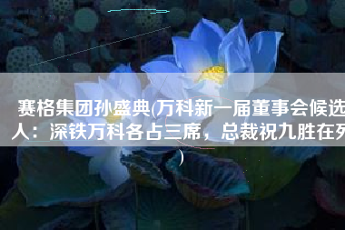 赛格集团孙盛典(万科新一届董事会候选人：深铁万科各占三席，总裁祝九胜在列)