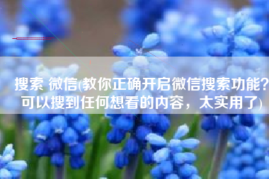 搜索 微信(教你正确开启微信搜索功能？可以搜到任何想看的内容，太实用了)