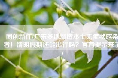 同创新作(广东多地新增本土无症状感染者！清明假期还能出行吗？官方提示来了)