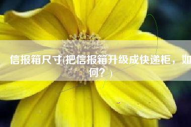 信报箱尺寸(把信报箱升级成快递柜，如何？)