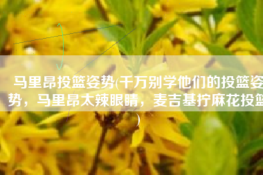 马里昂投篮姿势(千万别学他们的投篮姿势，马里昂太辣眼睛，麦吉基拧麻花投篮)