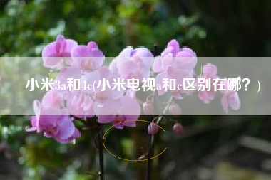小米3a和4c(小米电视a和c区别在哪？)