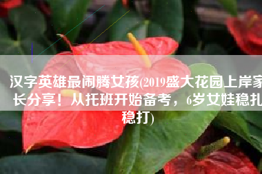 汉字英雄最闹腾女孩(2019盛大花园上岸家长分享！从托班开始备考，6岁女娃稳扎稳打)