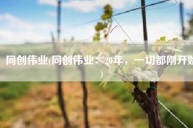 同创伟业(同创伟业：20年，一切都刚开始)