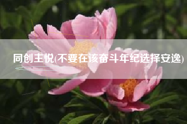 同创主悦(不要在该奋斗年纪选择安逸)