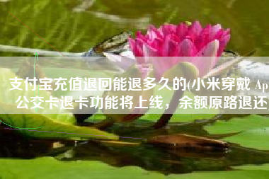 支付宝充值退回能退多久的(小米穿戴 App 公交卡退卡功能将上线，余额原路退还)