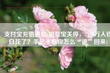 支付宝充值退款(相互宝关停，7500万人钱白花了？手把手教你怎么“退”回来)