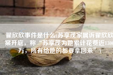 翟欣欣事件是什么(苏享茂家属诉翟欣欣案开庭，称“苏享茂为她累计花费近1300万，所有给她的都要拿回来”)