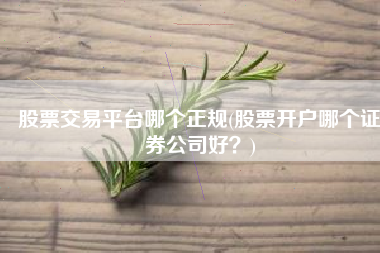 股票交易平台哪个正规(股票开户哪个证券公司好？)