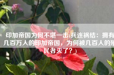 印加帝国为何不堪一击(兵连祸结：拥有几百万人的印加帝国，为何被几百人的殖民者灭了？)